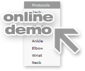 Online Demo